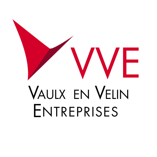 VVE logo VVE