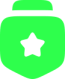 picto-optimisation pictogramme optimisation vert avec une étoile